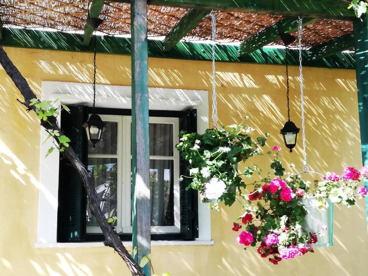 Garden House In Corfu Βίλα Corfu  Εξωτερικό φωτογραφία
