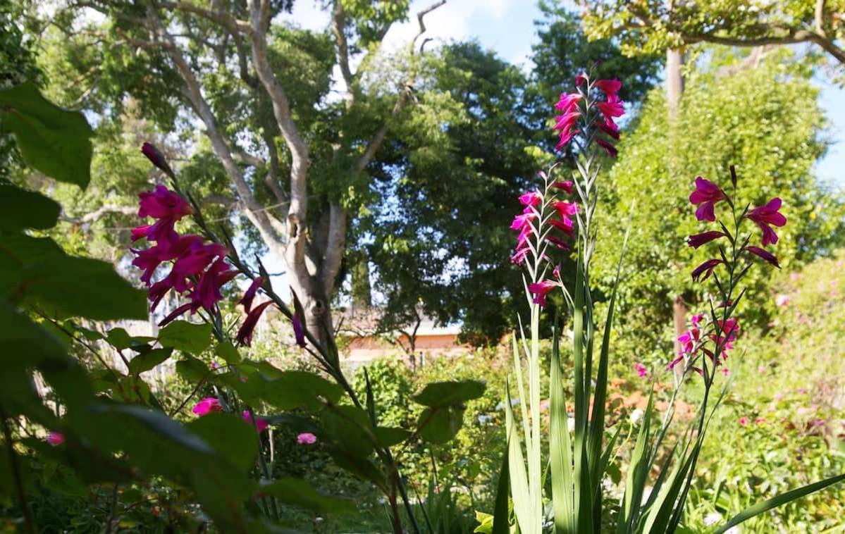 Garden House In Corfu Βίλα Corfu  Εξωτερικό φωτογραφία