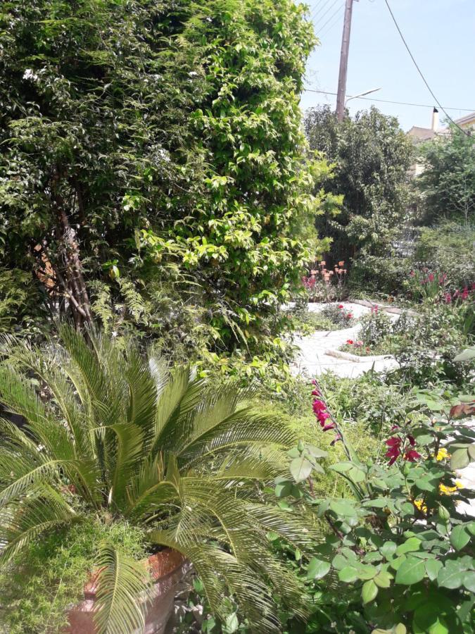 Garden House In Corfu Βίλα Corfu  Εξωτερικό φωτογραφία